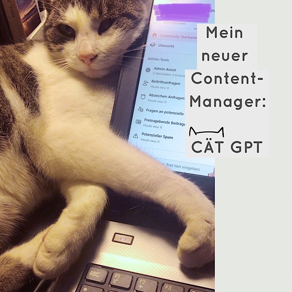 Katze Cookie als neuer Content-Manager liegt schon auf dem Laptop bereit
