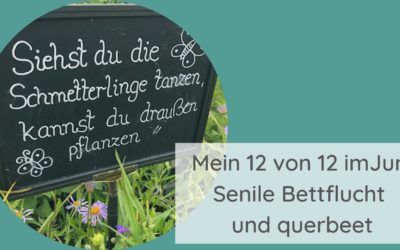 Mein 12 von 12 im Juni – Senile Bettflucht und querbeet