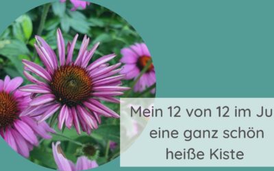 Mein 12 von 12 im Juli 23 – eine ganz schön heiße Kiste