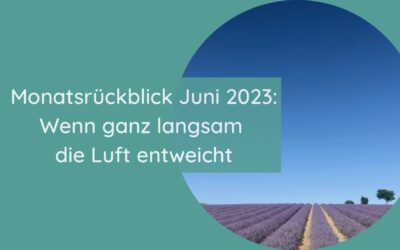 Mein Monatsrückblick Juni 2023: Wenn ganz langsam die Luft entweicht