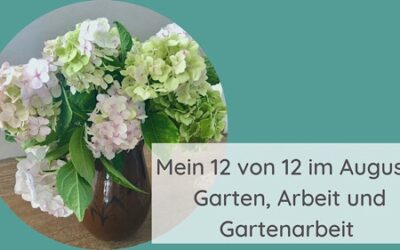 Mein 12 von 12 im August: Garten, Arbeit und Gartenarbeit