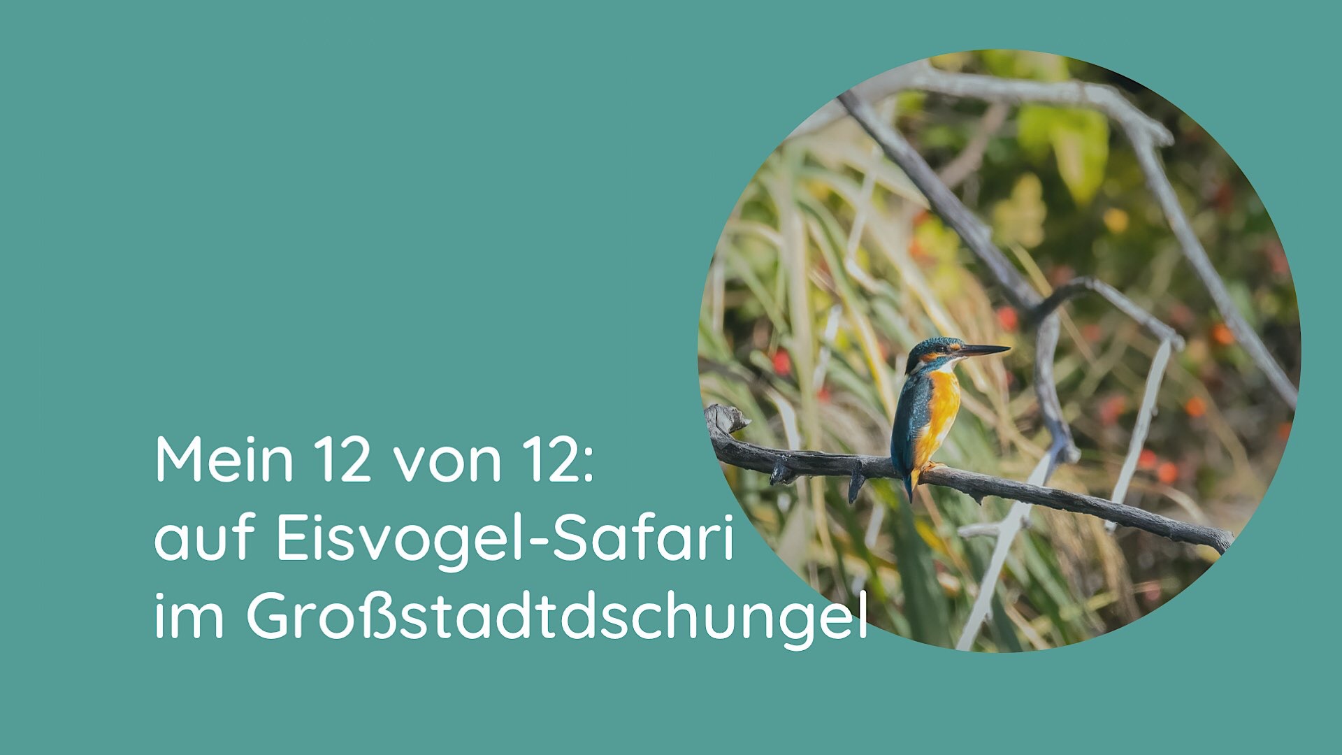12 von 12 Oktober