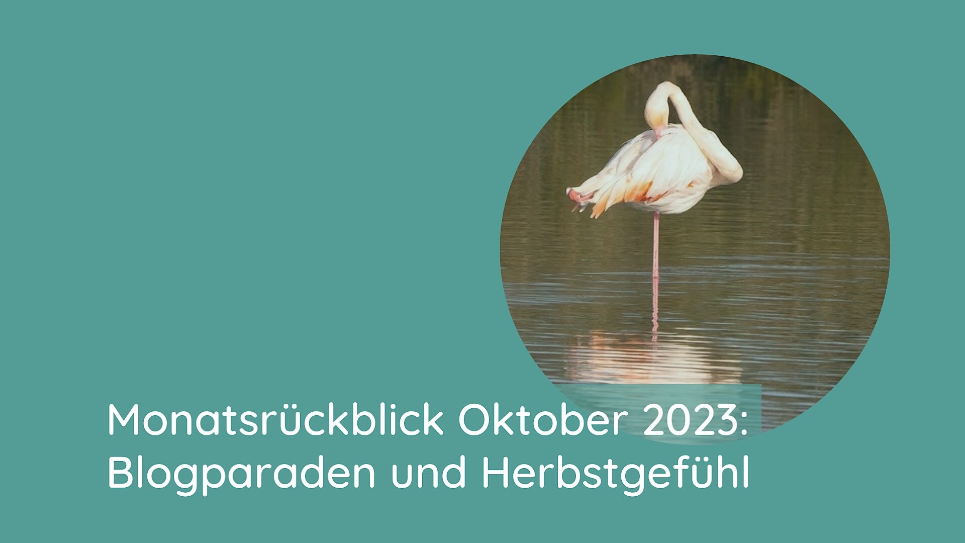 Monatsrückblick Oktober