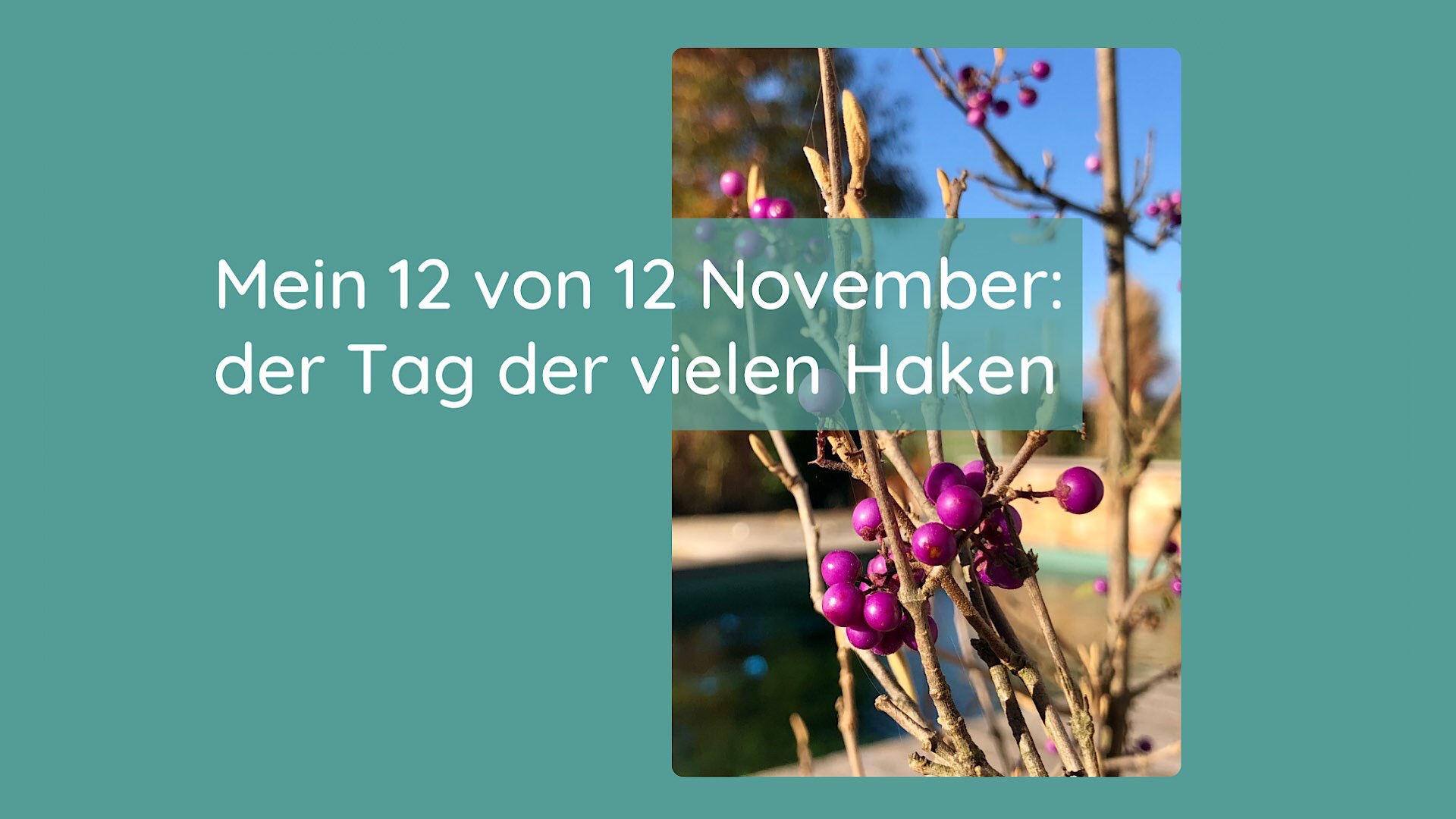 12 von 12 November 12 von 12 November