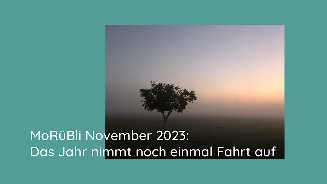 MoRüBli November – Das Jahr nimmt noch einmal Fahrt auf