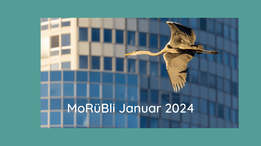 MoRüBli Januar – Anlauf