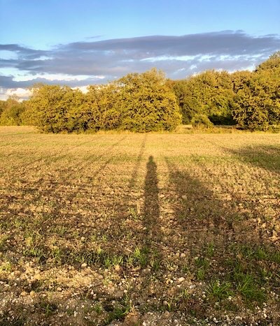Sonnenuntergang im Rücken, Schatten von mir auf dem Feld, goldene Farben, blauer Himmel